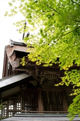 神戸・出雲 旅行 備忘録 (86)