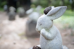 神戸・出雲 旅行 備忘録 (17)