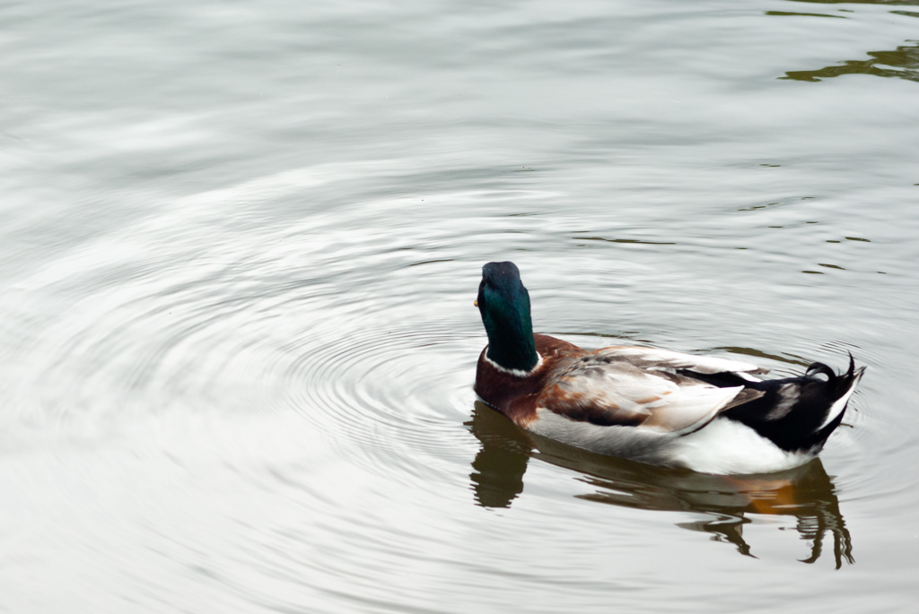 富士花鳥園　13
