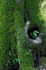 神戸・出雲 旅行 備忘録 (21)