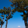 H24 富士市 富士山　２
