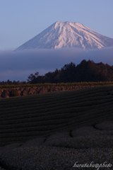 H24 今宮 富士山　４