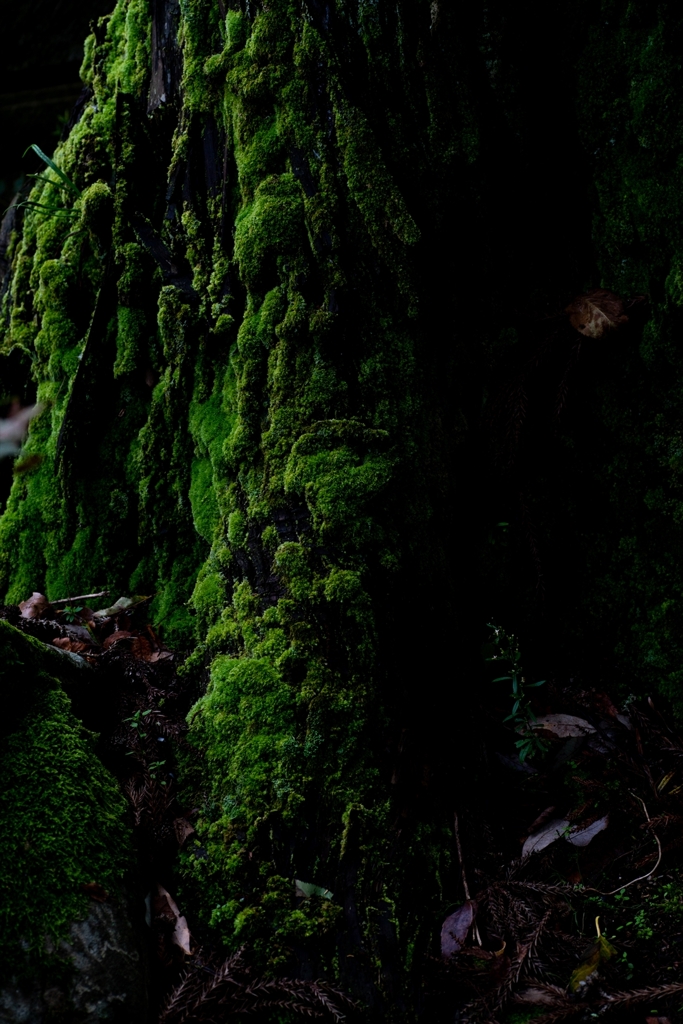 神戸・出雲 旅行 備忘録 (39)
