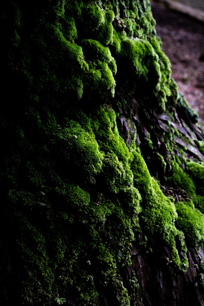 神戸・出雲 旅行 備忘録 (73)