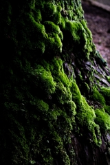 神戸・出雲 旅行 備忘録 (73)