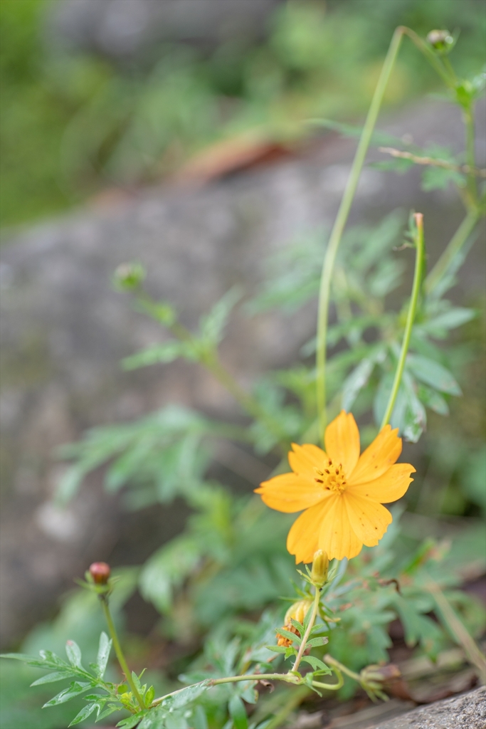神戸・出雲 旅行 備忘録 (34)