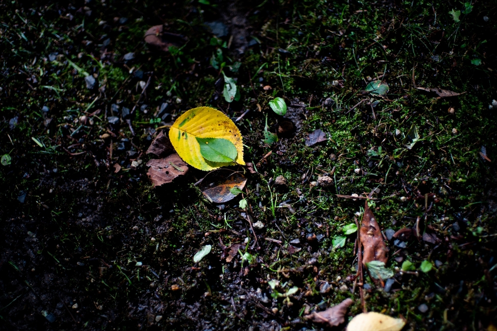 神戸・出雲 旅行 備忘録 (15)