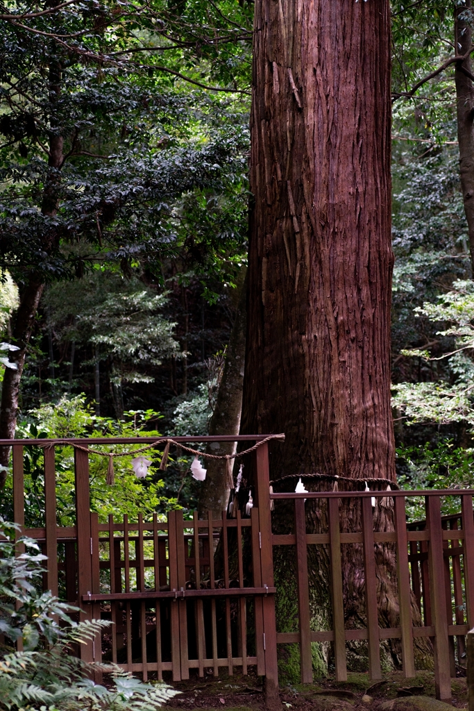 神戸・出雲 旅行 備忘録 (77)