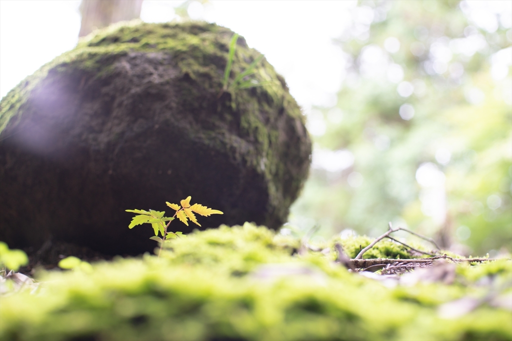 神戸・出雲 旅行 備忘録 (70)