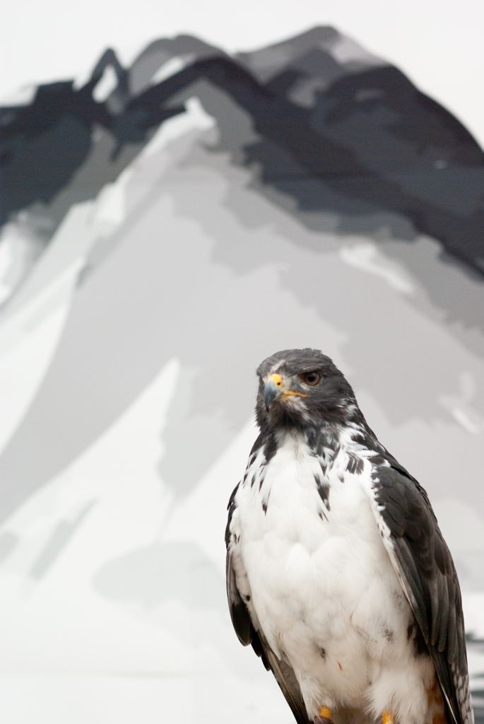 富士花鳥園　15