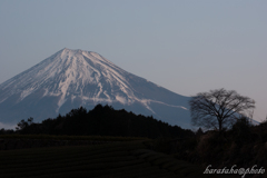 H24 今宮 富士山　１