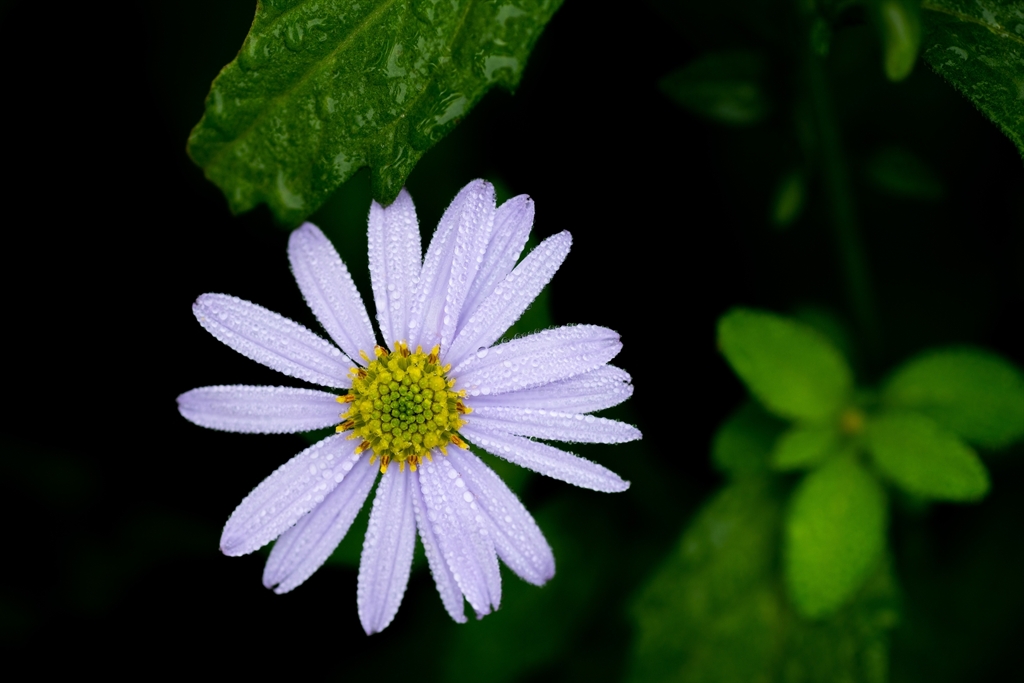 神戸・出雲 旅行 備忘録 (37)
