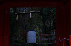 箱根神社 (3)