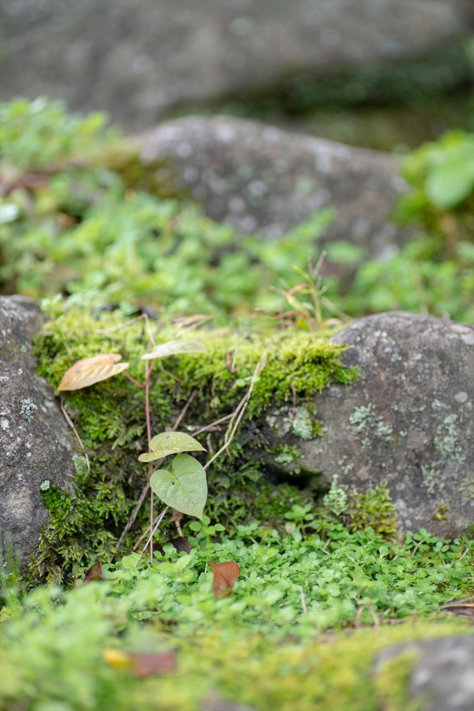 神戸・出雲 旅行 備忘録 (35)