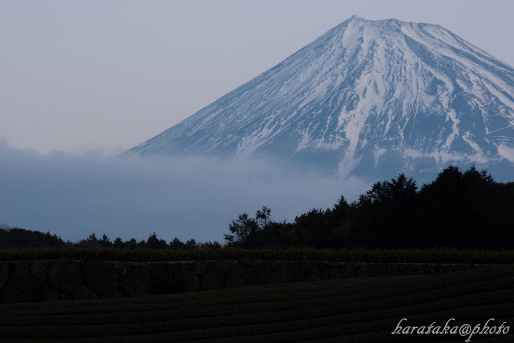 H24 今宮 富士山　２