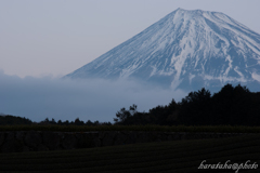 H24 今宮 富士山　２
