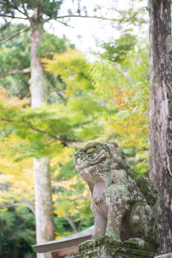 神戸・出雲 旅行 備忘録 (89)