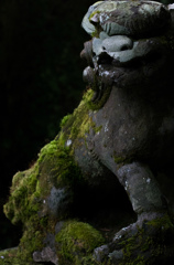 箱根神社 (9)