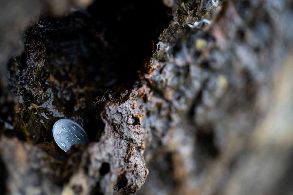 神戸・出雲 旅行 備忘録 (27)
