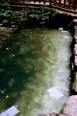 神戸・出雲 旅行 備忘録 (74)