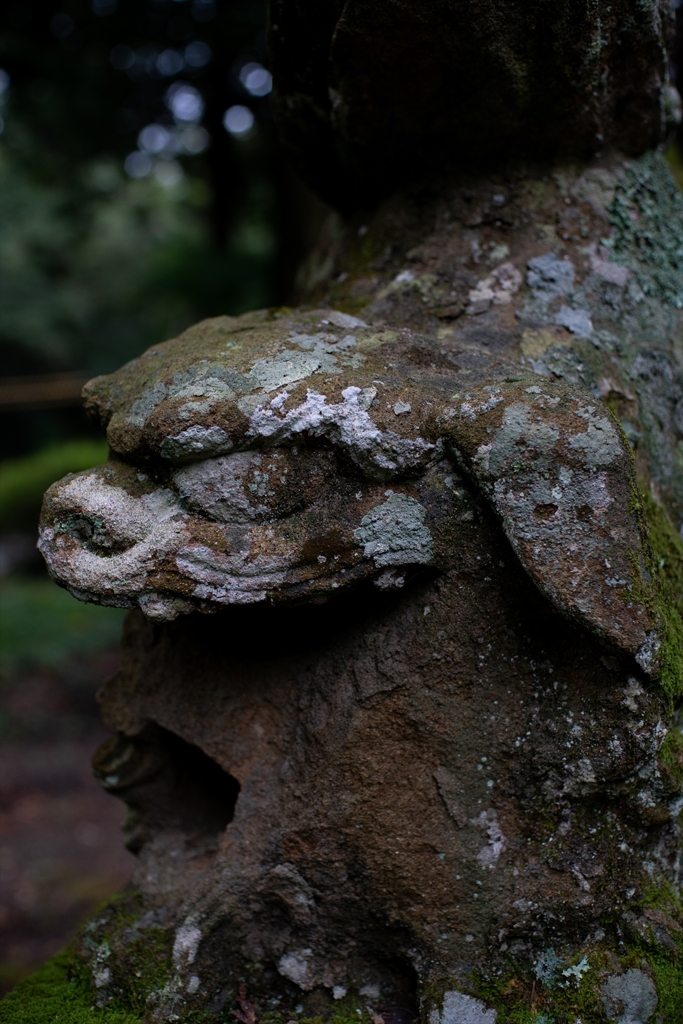 神戸・出雲 旅行 備忘録 (50)