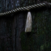 箱根神社 (5)