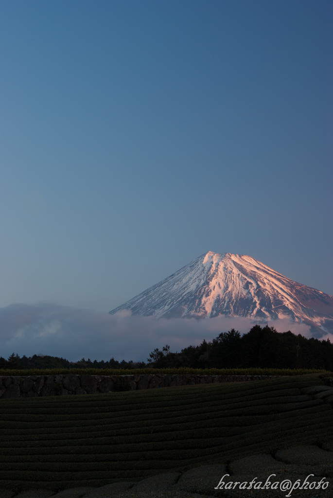 H24 今宮 富士山　３
