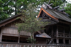 神戸・出雲 旅行 備忘録 (43)