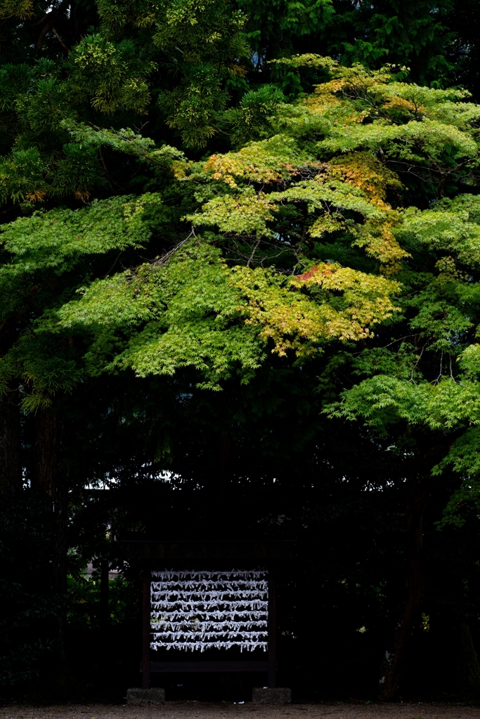 神戸・出雲 旅行 備忘録 (47)