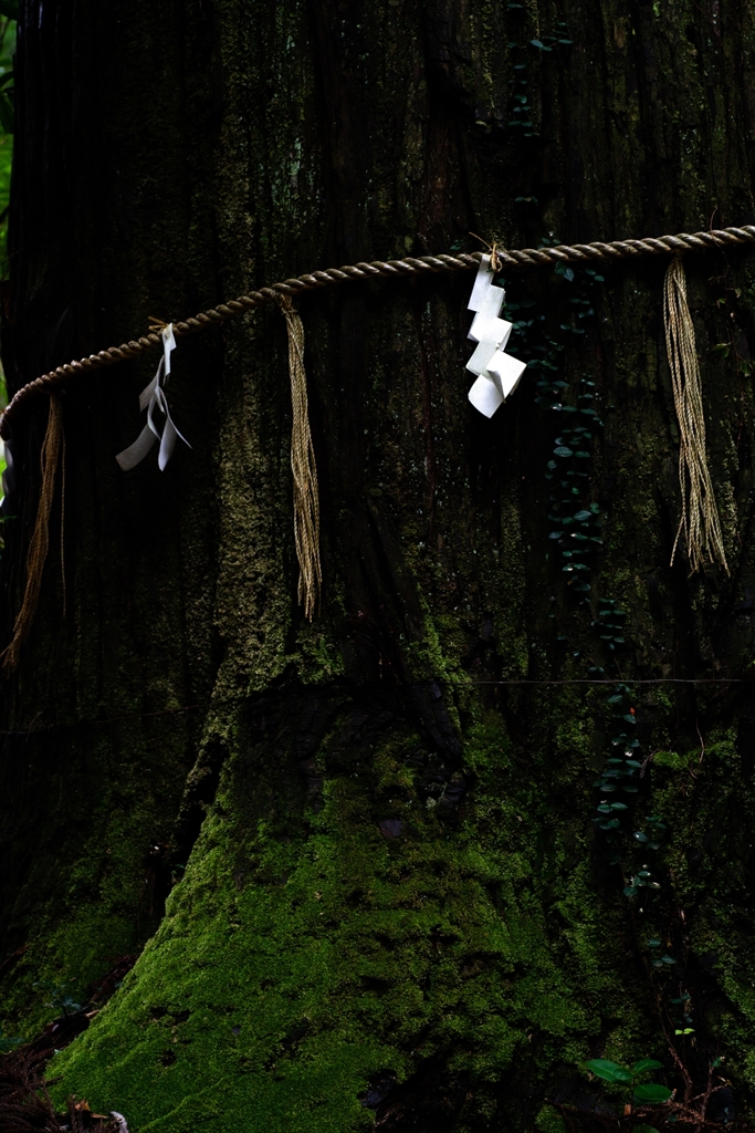 神戸・出雲 旅行 備忘録 (46)