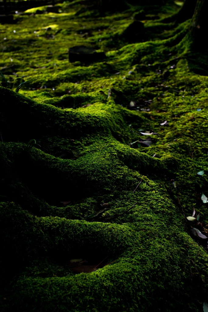神戸・出雲 旅行 備忘録 (20)