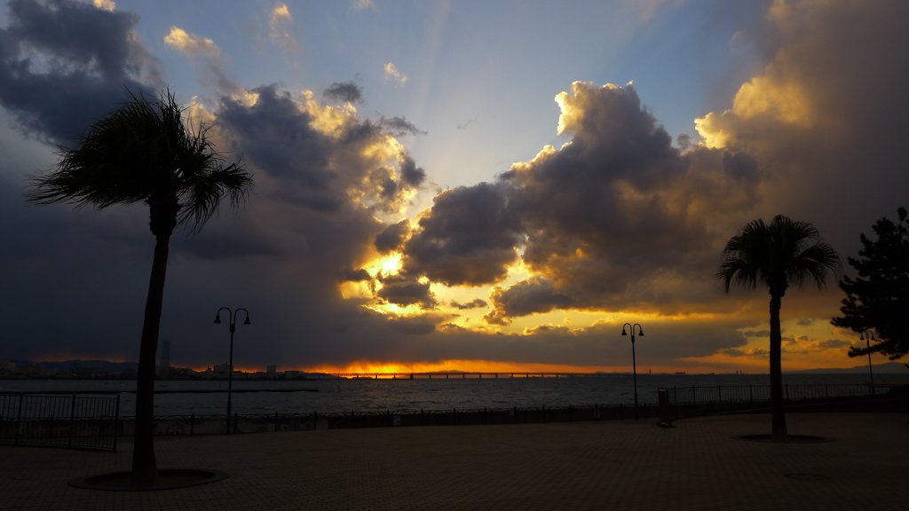 定点観測：夕日