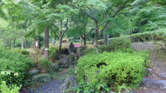 P1180090