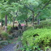 P1180090