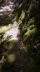 P1040375