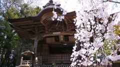 早春３月…高知で散歩