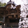 早春３月…高知で散歩