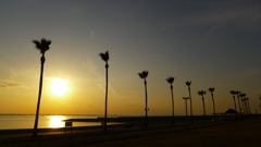 定点観測：夕日