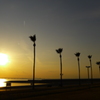 定点観測：夕日
