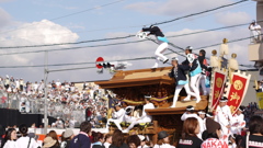 だんじり最大の見せ場は「かんかん場」