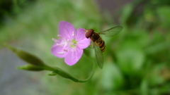 P1180051