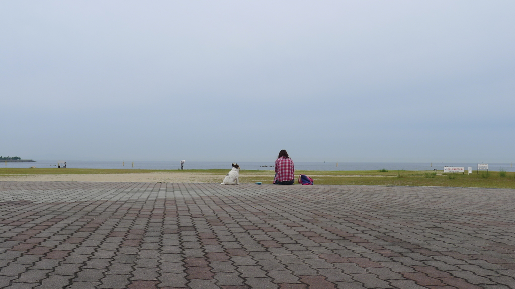 海のある風景