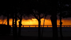 定点観測：夕日