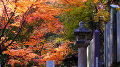 大阪貝塚・水間寺の紅葉