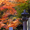 大阪貝塚・水間寺の紅葉