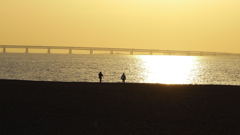定点観測：夕日