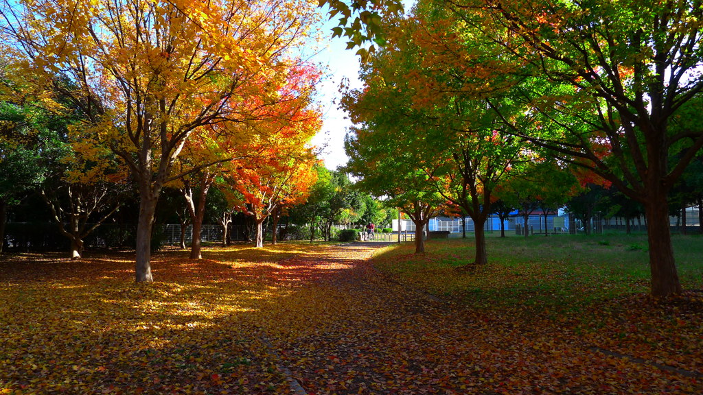 晩秋の公園で