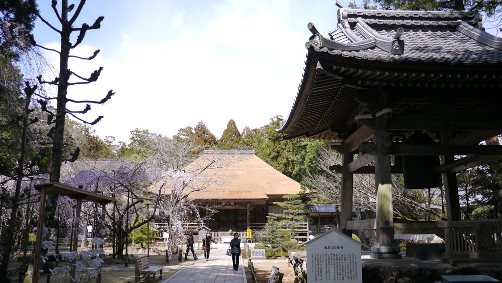 早春３月…高知で散歩