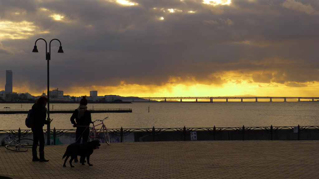 定点観測：夕日