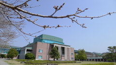 春のお彼岸　（高知・香美市）